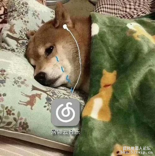 xml代码—网抑云（网易云）